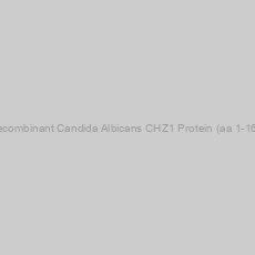 Image of Recombinant Candida Albicans CHZ1 Protein (aa 1-167)